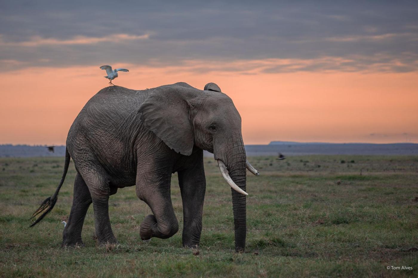 Kibo Villa Amboseli Kültér fotó